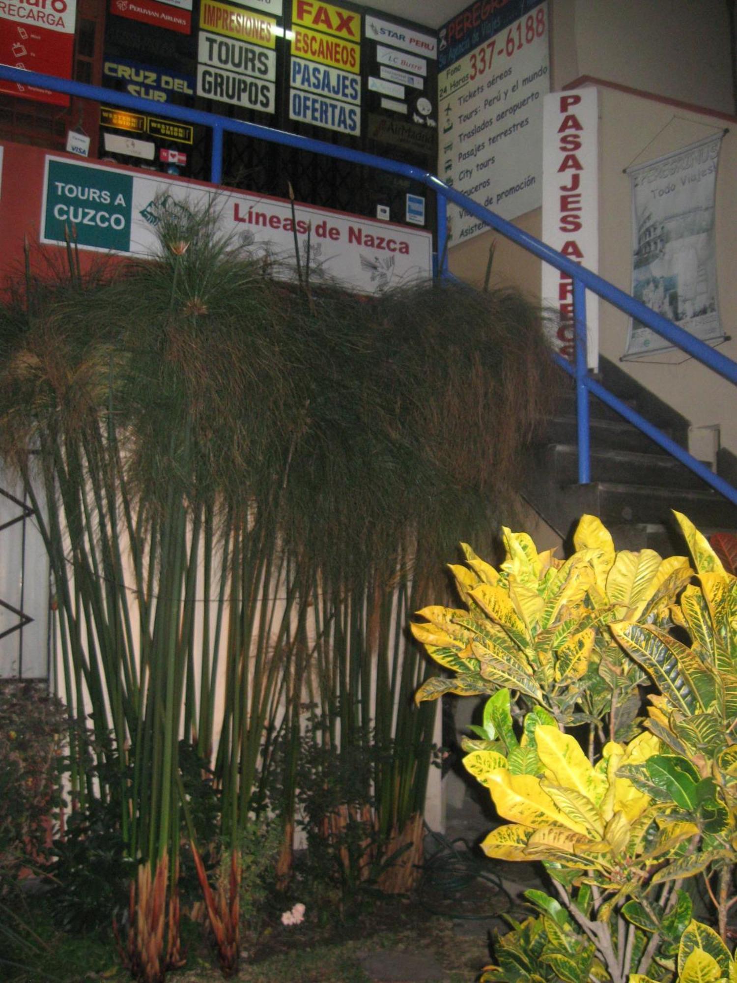 Posada Peregrinus Lima Exterior foto