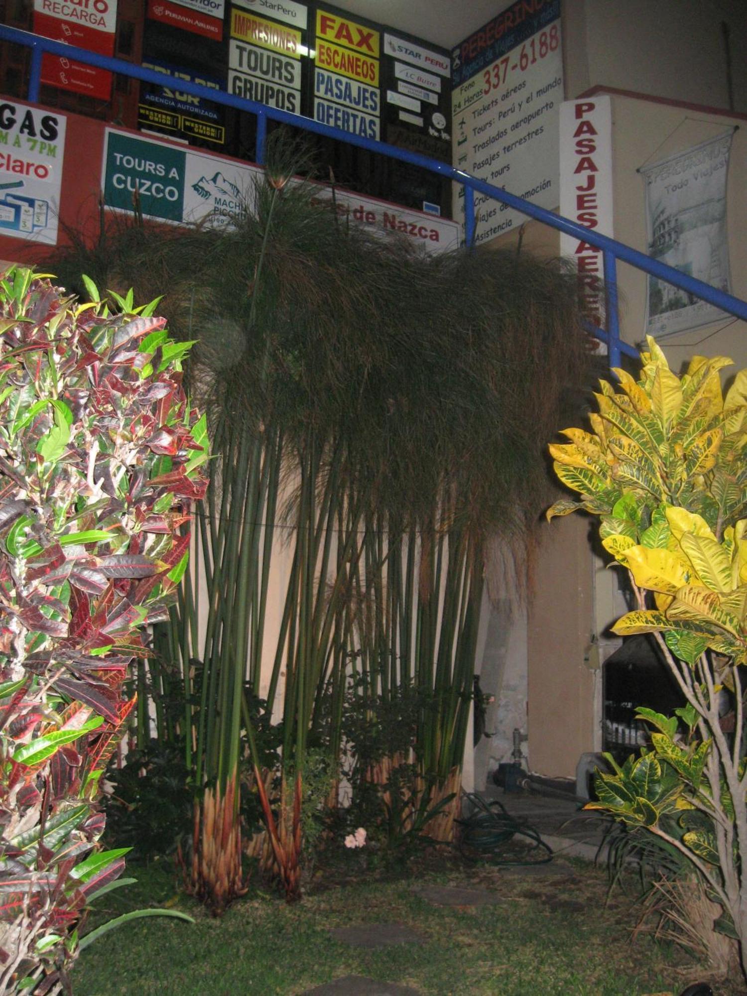 Posada Peregrinus Lima Exterior foto
